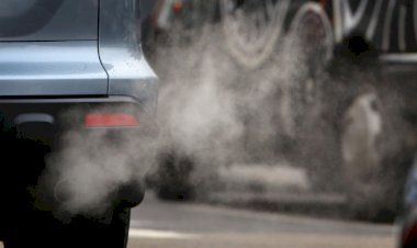 Poluarea aerului sau cum orășenii s-au gândit la mediu, vreo câteva zile