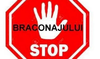 Două dosare penale. Braconierii ar putea ajunge după gratii