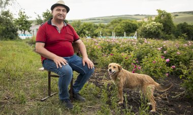 Victor Melnic și farmacia lui verde din satul Dobrogea
