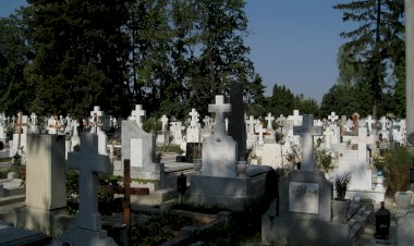 Mormintele deputaților Sfatului Țării – un subiect important de cercetare