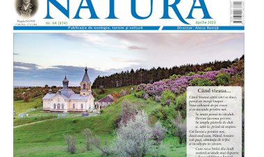 Iubirea adevărului și aproapelui