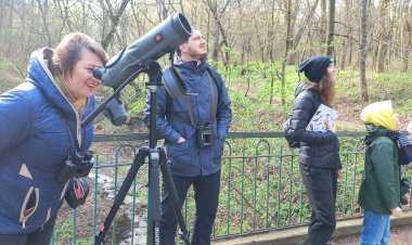 Ziua Internațională a Păsărilor