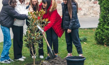 Școala ne învață să gândim logic ca să trăim ECOlogic