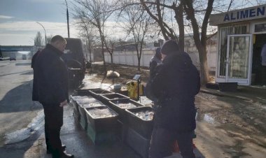 Prejudicii de peste 100 de milioane de lei din cauza pescuitului ilicit