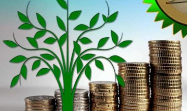 Apel de propuneri de proiecte finanțate prin Fondul Național pentru Mediu