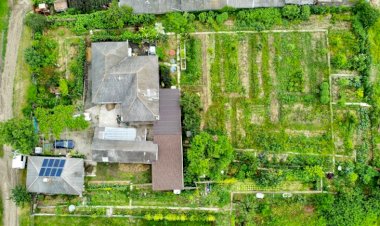 Natura este o inteligență superioară care ne ajută să creștem alimente