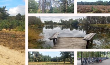 Parcul Național „Hoge Veluwe” din Olanda