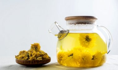 Indicațiile terapeutice ale crizantemei