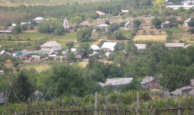 Larga Veche