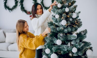 Bradul, simbol şi remediu tămăduitor