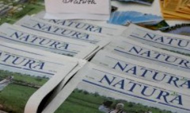 Mulțumiri abonaților noștri!