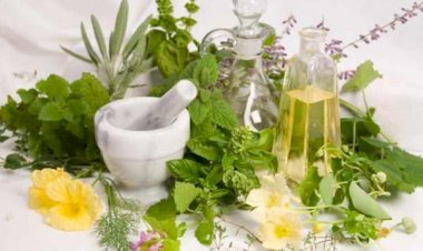 Regulile de aur ale bunicii