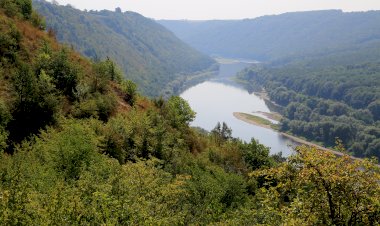 Vecinii necunoscuţi