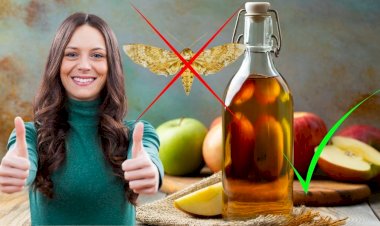 Regulile de aur ale bunicii