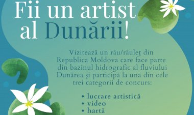 Concursul „Fii un artist al Dunării” vă invită să participați!