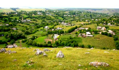 Brânzeni. Ce scria NATURA în august 2003