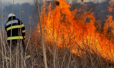 Pericol major! Incendiile izbucnesc și se extind mai ușor pe caniculă
