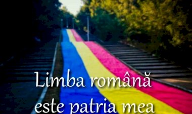 Iubește limba română, așa cum iubești victoria și înfrângerea!