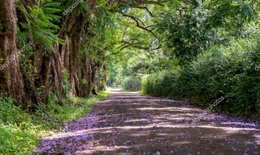 O șansă uriașă: să n-o ratăm!