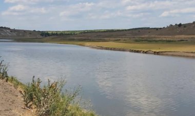 Protejați natura, fiindcă ea nu mai rezistă