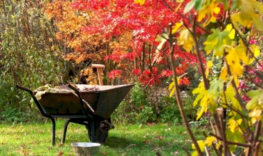 Ce lucrări agricole sunt obligatorii în luna octombrie