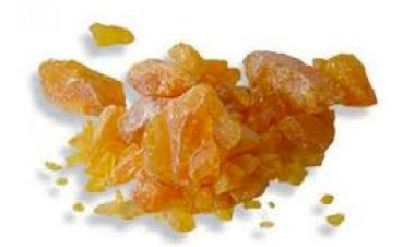 Proprietăţile curative ale arborilor de conifere