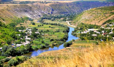 Laureații revistei NATURA, 2024