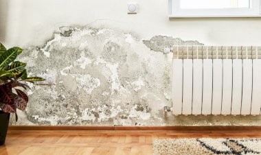 Regulile de aur ale bunicii