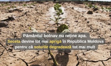 Degradarea solului și seceta în Republica Moldova