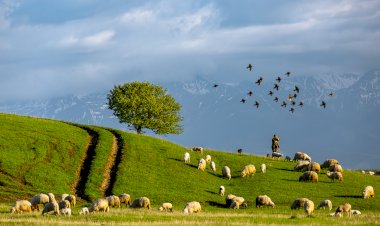 400 de izvoare cu apă vie!