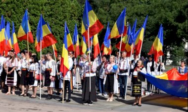 CĂLĂII SUNT DE VINĂ, NU VICTIMELE!