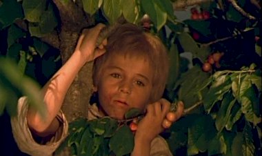 COPILĂRIA – ÎMPĂRĂȚIA LUI DUMNEZEU PE PĂMÂNT