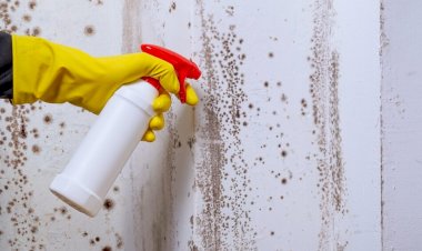 Regulile de aur ale bunicii