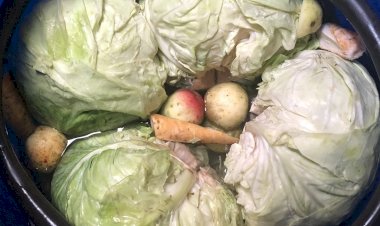 Regulile de aur ale bunicii