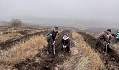 ORICE FIRICEL DE IARBĂ - CU RĂDĂCINA SA