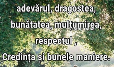 Din geanta elevului: cei 7 ani de acasă, munca și perseverența