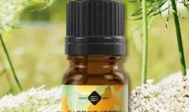 Ulei esențial din semințe de morcov