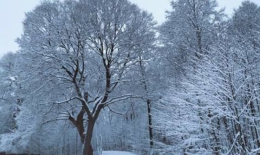 Satul meu scump, te iubesc ca o fiică revenită acasă