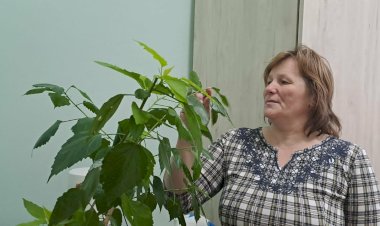 „Geografia este acea ştiinţă sublimă care citeşte în cer imaginea pământului”  Claudius Ptolemaeus