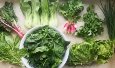 Verdețurile de sezon