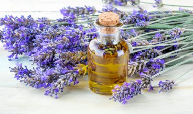 Beneficii ale uleiului esențial de lavandă