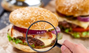 Toxiinfecțiile alimentare