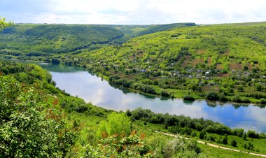 Ochiul revistei NATURA - Petru Pascaru la 50 de ani