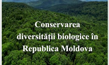 BOGĂȚIA PE CARE N-O PREȚUIM
