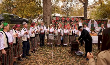Când tradiția devine școală
