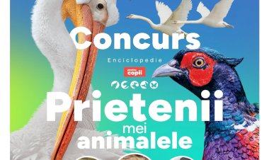 CONCURS