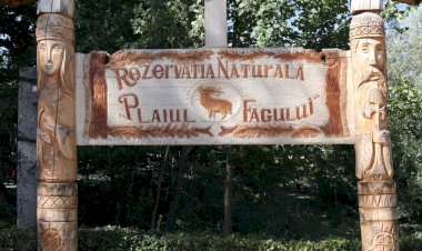 Țara Fagilor din dreapta Prutului