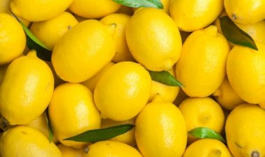 Fructul care poate elimina mirosurile neplăcute din frigider