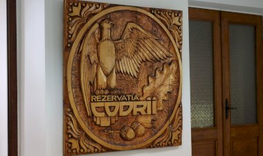 Rezervația Naturală „Codrii”, oază de natură în inima țării