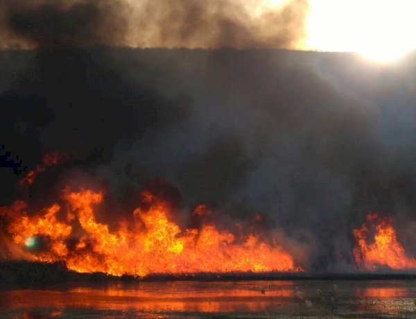 Incendiile de vegetaţie - un pericol pentru viaţă şi mediu
